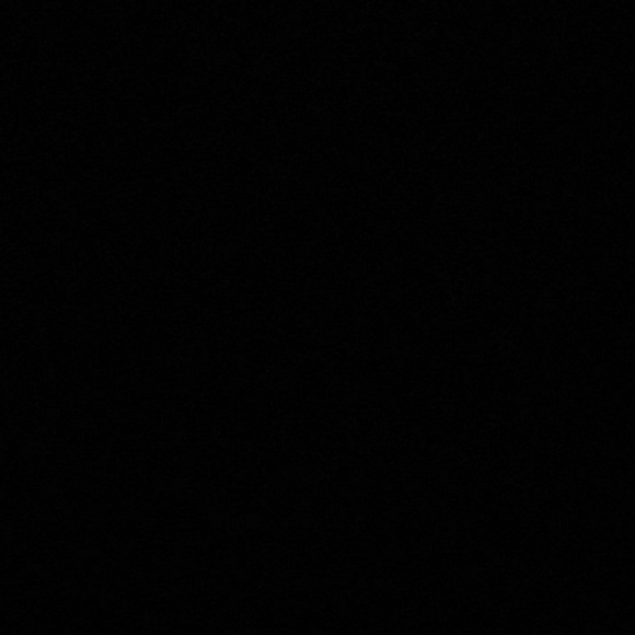 Meet your Posher, Bianca - Picture 1 of 1